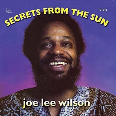 JOE LEE WILSON / ジョー・リー・ウィルソン / シークレッツ・フロム・ザ・サン