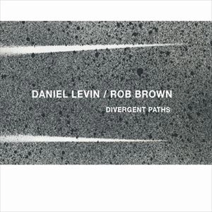 DANIEL LEVIN / ROB BROWN / DIVERGENT PATHS