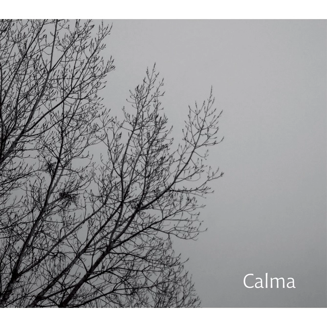 CARLOS AGUIRRE / カルロス・アギーレ / カルマ / CALMA