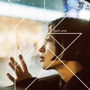 Split end / 夜