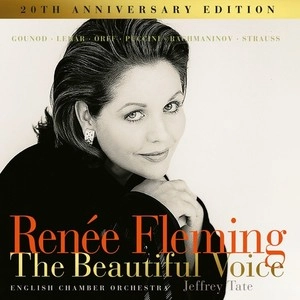 RENEE FLEMING / ルネ・フレミング / THE BEAUTIFUL VOICES(2LP/LTD)