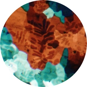 BOOKS (UK) / SOUR GRAPES EP