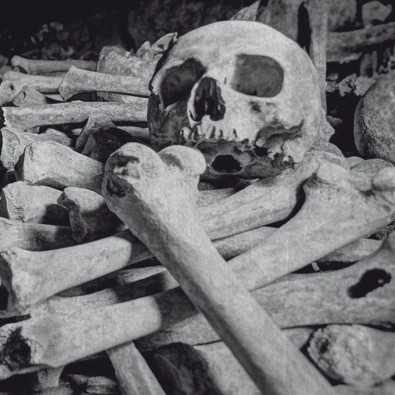 ENCOFFINATION / NECROS OBSCURITAS