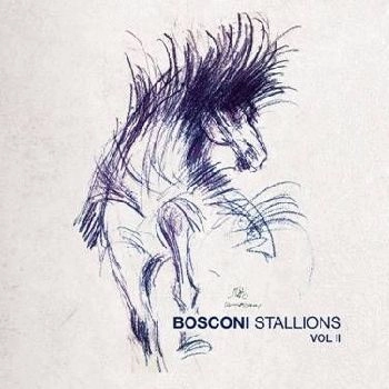 V.A. / オムニバス / BOSCONI STALLIONS VOL.2