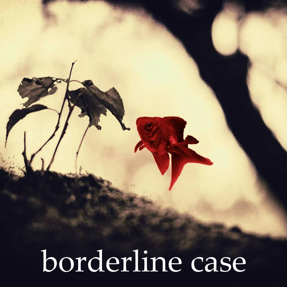 borderline case / 最果てるハクシ