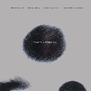 MARTIN BLUME / FRAMES & TERRAINS