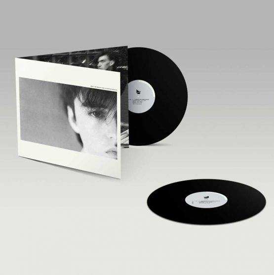 FELT / フェルト / CRUMBLING THE ANTISEPTIC BEAUTY (DELUXE REMASTERED GATEFOLD SLEEVE VINYL EDITION)