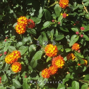 War.deairen / ミント