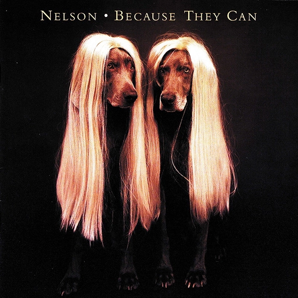 NELSON / ネルソン / ビコーズ・ゼイ・キャン / BECAUSE THEY CAN