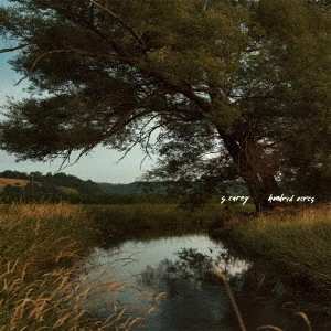 S. CAREY / エス・キャリー / ハンドレッド・エーカーズ / HUNDRED ACRES