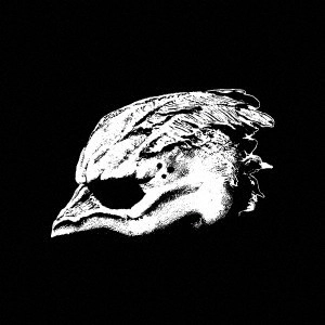 LEGEND OF THE SEAGULLMEN / レジェンド・オブ・ザ・シーガルメン / レジェンド・オブ・ザ・シーガルメン / LEGEND OF THE SEAGULLMEN