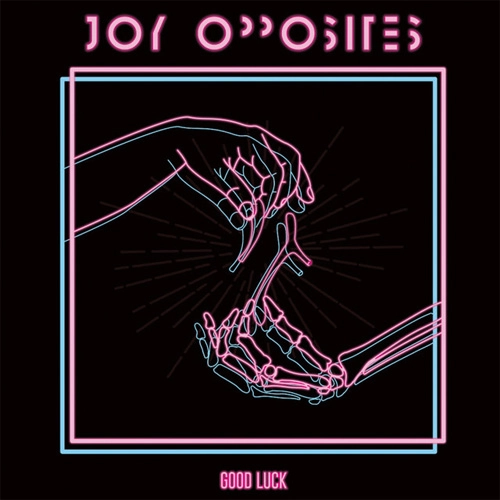 JOY OPPOSITES / Good Luck