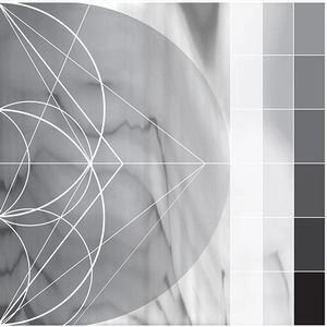 RICARDO DONOSO / ASSIMILATING THE SHADOW