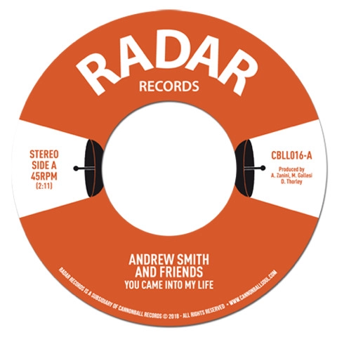 ANDREW SMITH / アンドルー・スミス(VIOLIN) / YOU CAME IN TO MY LIFE