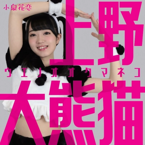 小泉花恋 / 上野大熊猫