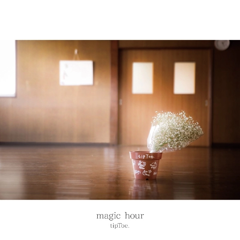 tipToe. / magic hour