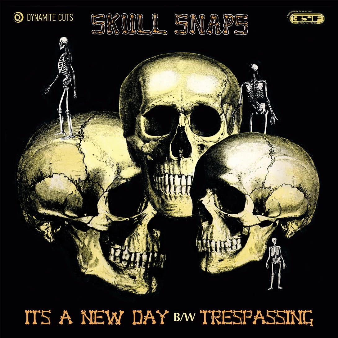 SKULL SNAPS / スカル・スナップス / IT'S A NEW DAY / TRESPASSING