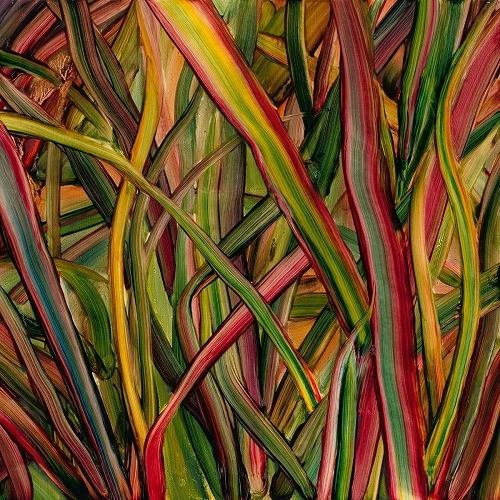 GENGAHR / ゲンガー / WHERE WILDNESS GROWS (LP)