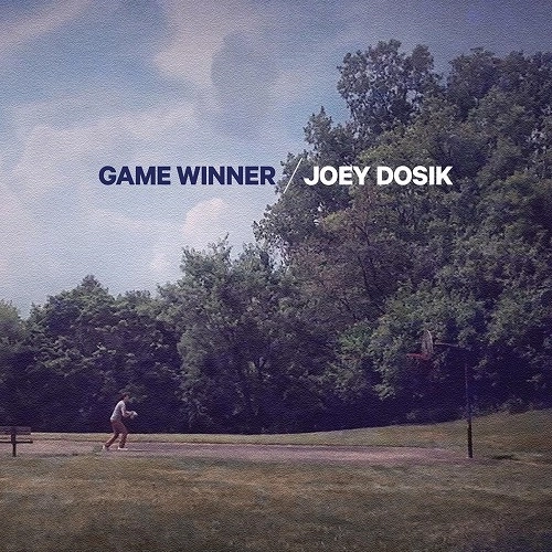 JOEY DOSIK / ジョーイ・ドーシック / GAME WINNER (LP)