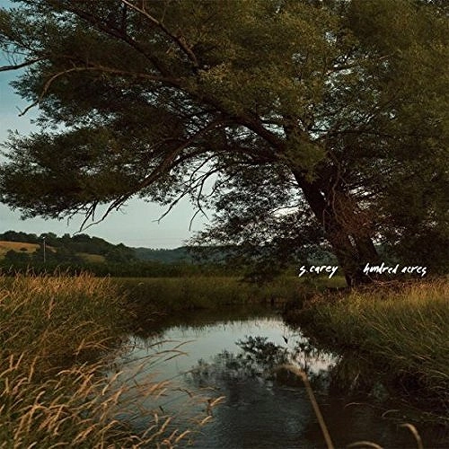 S. CAREY / エス・キャリー / HUNDRED ACRES (LP)