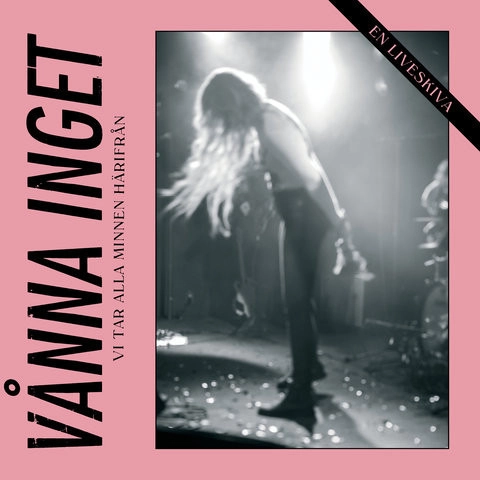 VANNA INGET / VI TAR ALLA MINNEN HARIFRAN (LP)