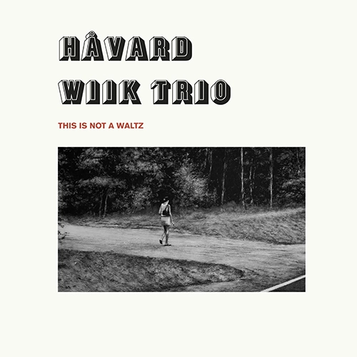 HAVARD WIIK / ホーヴァル・ヴィーク / THIS IS NOT A WALTZ