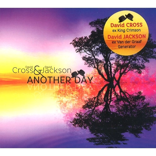 DAVID CROSS & DAVID JACKSON / デヴィッド・クロス&デヴィッド・ジャクソン / ANOTHER DAY