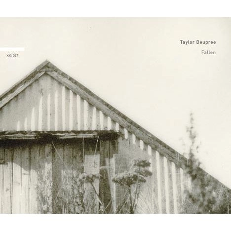 TAYLOR DEUPREE / テイラー・デュプリー / FALLEN