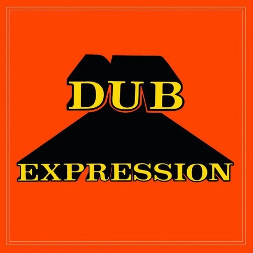 REVOLUTIONARIES / レヴォリューショナリーズ / DUB EXPRESSION (COLOURED VINYL)