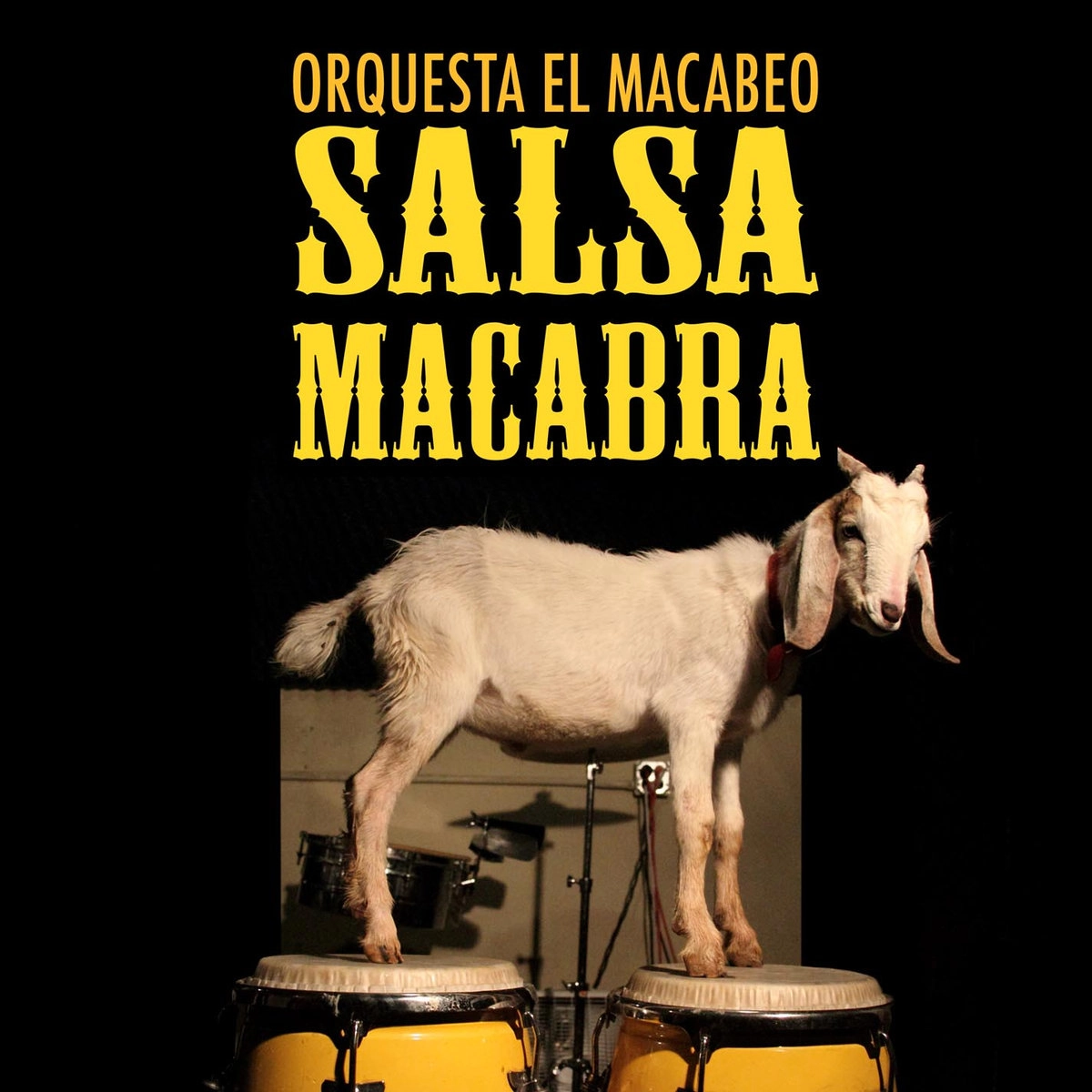 ORQUESTA EL MACABEO / オルケスタ・エル・マカベオ / SALSA MACABRA