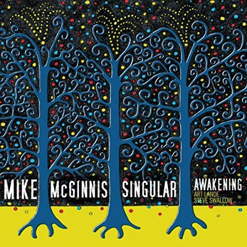 MIKE MCGINNIS / マイク・マクギニス / Singular Awakening