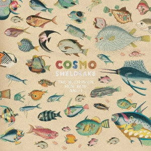 COSMO SHELDRAKE / コスモ・シェルドレイク / ザ・マッチ・マッチ・ハウ・ハウ・アンド・アイ / THE MUCH MUCH HOW HOW AND I