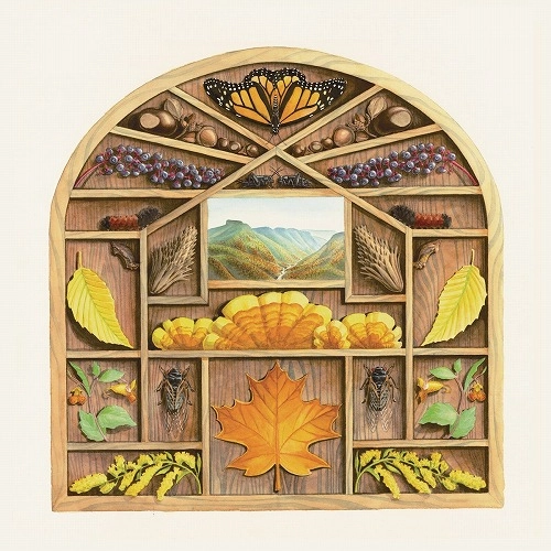 SARAH LOUISE / FIELD GUIDE (LP)