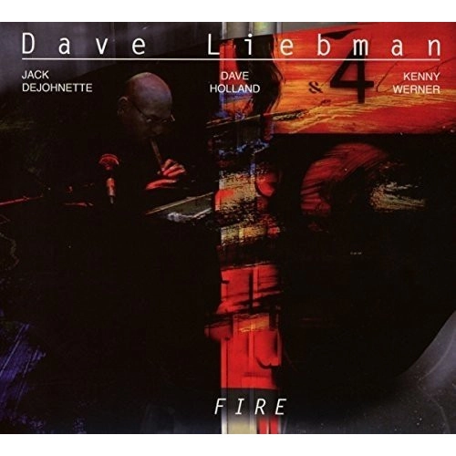 DAVE LIEBMAN (DAVID LIEBMAN) / デイヴ・リーブマン / Fire