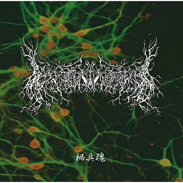 SHINDA SAIBO NO KATAMARI / 死んだ細胞の塊 / 禍具魂<PAPERSLEEVE> / KAGUTABA<PAPERSLEEVE>