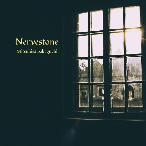 MITSUHISA SAKAGUCHI / 坂口光央 / Nervestone