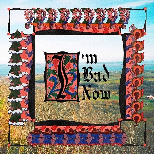 NAP EYES / ナップ・アイズ / I'M BAD NOW (LP/PINK VINYL)