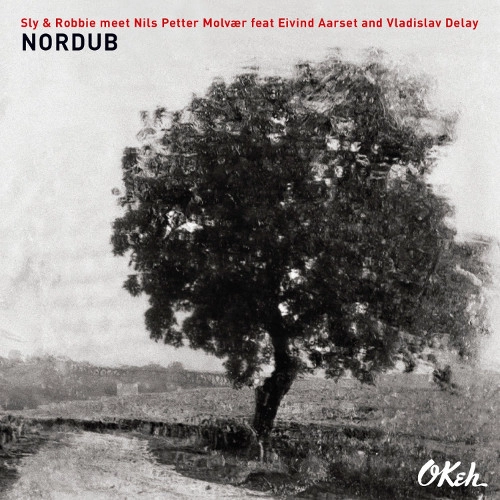 NILS PETTER MOLVAER / ニルス・ペッター・モルヴェル / NORDUB