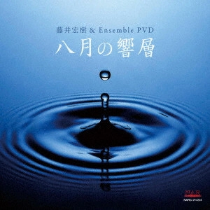 HIROKI FUJII / 藤井宏樹 / 八月の響層