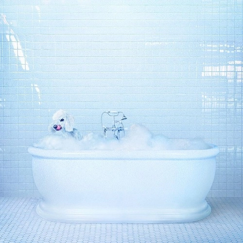 FRANKIE COSMOS / フランキー・コスモス / VESSEL (LP)