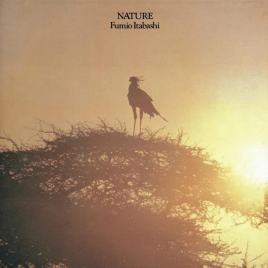 FUMIO ITABASHI / 板橋文夫 / NATURE