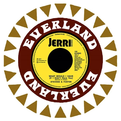 STEVENS & FOSTER / スティーヴンス & フォスター / WHAT WOULD I HAVE (IF DIDN'T HAVE YOU) / I WANT TO BE LOVE