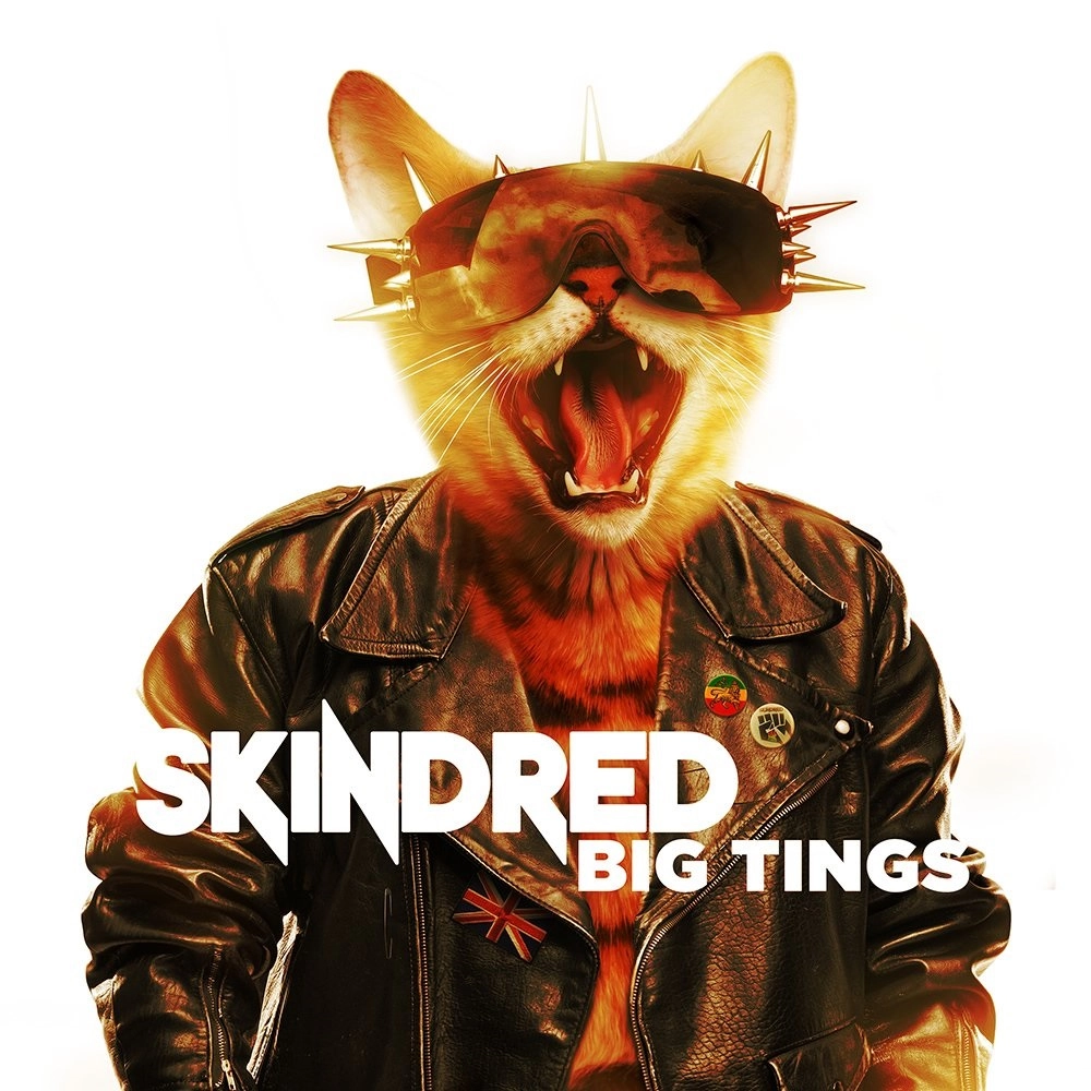 SKINDRED / スキンドレッド / ビッグ・ティンズ / BIG TINGS