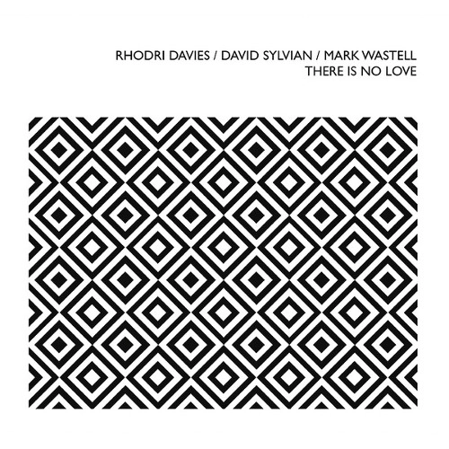 RHODRI DAVIES / ロードリ・デイヴィス / THERE IS NO LOVE