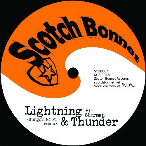 BIM SHERMAN / ビム・シャーマン / LIGHTNING & THUNDER (MUNGO'S HI FI REMIX) [10"]