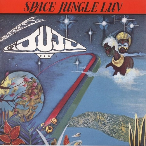 ONENESS OF JUJU / ワンネス・オブ・ジュジュ / SPACE JUNGLE LUV