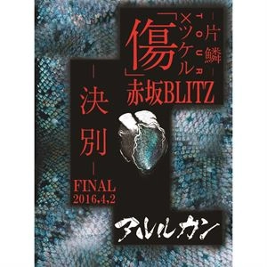 Arlequin / アルルカン / 2016.4.02 傷×ツケルTOUR FINAL-決別-@赤坂BLITZ