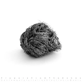 V.A. (LUCY, MARCO SHUTTLE, NEEL, CATERINA BARBIERI, etc. ) / FLOWERS FROM THE ASHES: CONTEMPORARY ITALIAN ELECTRONIC MUSIC
