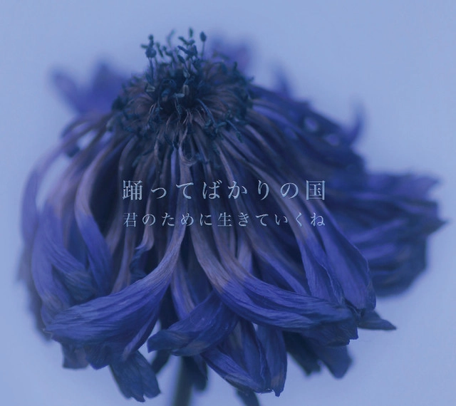 踊ってばかりの国 / 君のために生きていくね