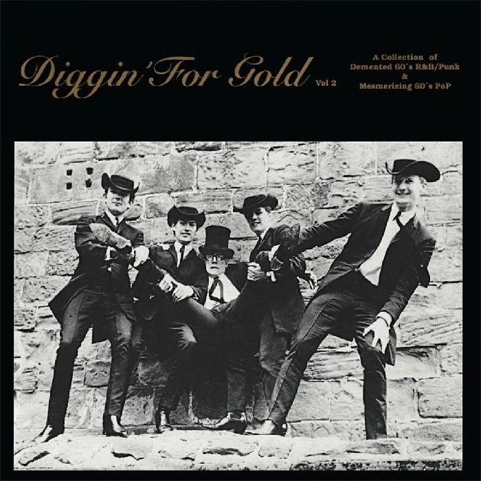 V.A. (DIGGIN' FOR GOLD) / DIGGIN' FOR GOLD VOLUME 2 [LP]